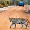 Wilpattu National Park